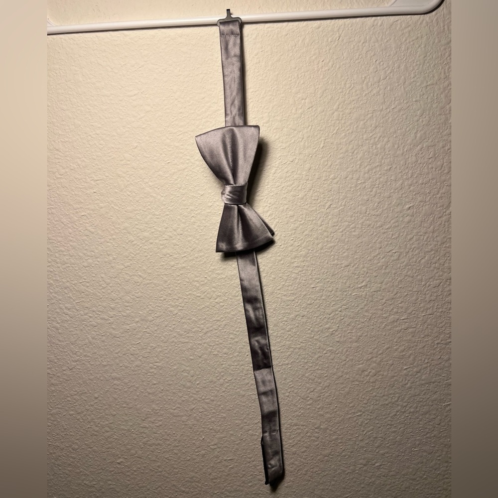 Elegant Silver Bow Tie